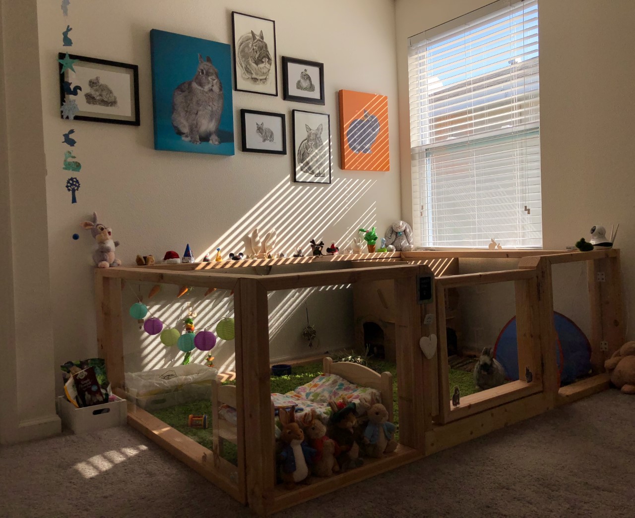 Cooper the Pooper's rabbit enclosure