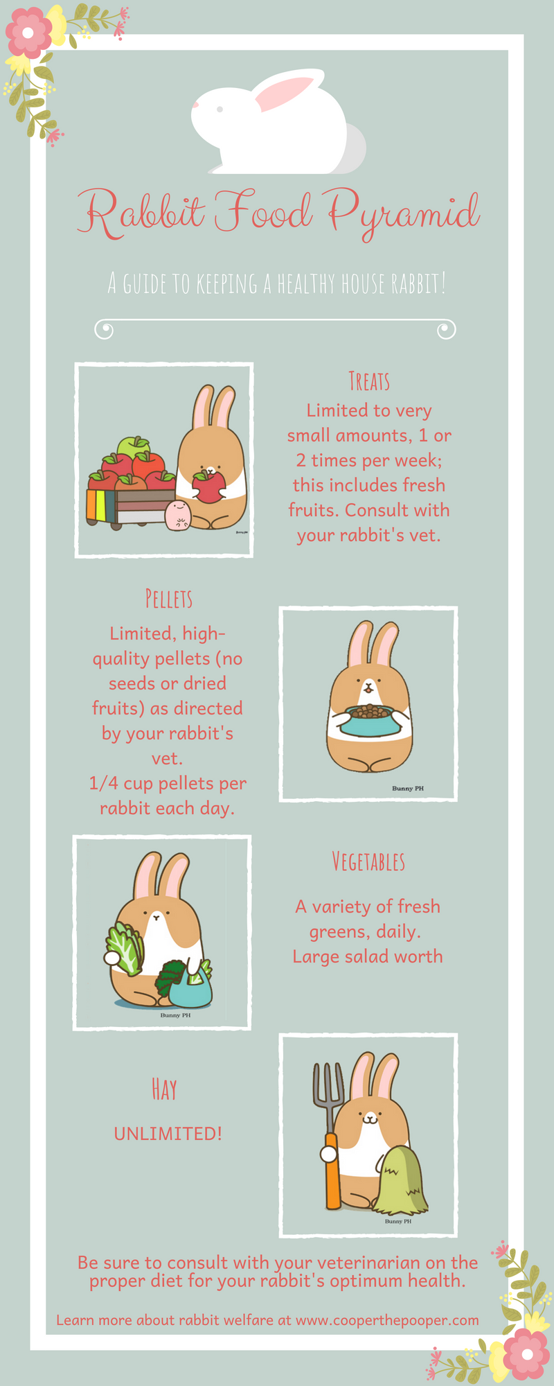 Cooper the Pooper - Grey Netherland Dwarf Rabbit - Inforgraphic of Rabbit Food Pyramid