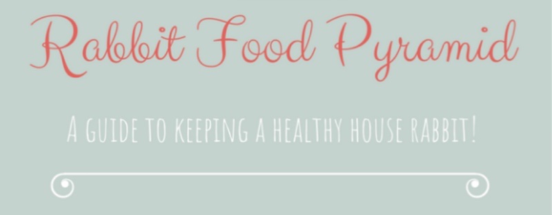 Graphics of an infographics - Rabbit Food Pyramid
